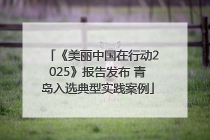 《美丽中国在行动2025》报告发布 青岛入选典型实践案例