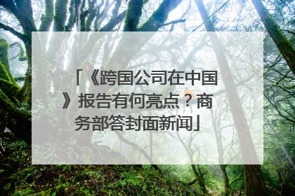 《跨国公司在中国》报告有何亮点？商务部答封面新闻