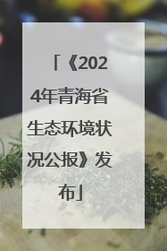 《2024年青海省生态环境状况公报》发布