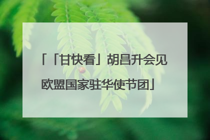 「甘快看」胡昌升会见欧盟国家驻华使节团