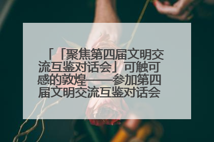「聚焦第四届文明交流互鉴对话会」可触可感的敦煌——参加第四届文明交流互鉴对话会的外宾参观上元市集