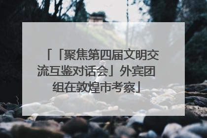 「聚焦第四届文明交流互鉴对话会」外宾团组在敦煌市考察