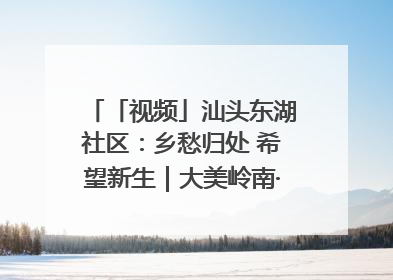 「视频」汕头东湖社区：乡愁归处 希望新生｜大美岭南·百村焕新记