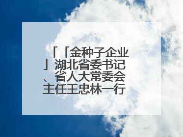 「金种子企业」湖北省委书记、省人大常委会主任王忠林一行到依瑞德调研