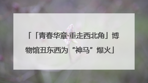 「青春华章·重走西北角」博物馆丑东西为“神马”爆火