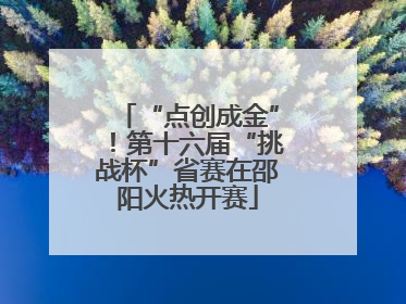 “点创成金”！第十六届“挑战杯”省赛在邵阳火热开赛