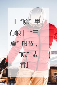 “皖”里有粮｜“三夏”时节，一“皖”麦香