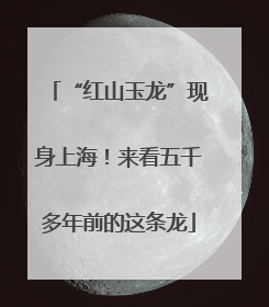 “红山玉龙”现身上海！来看五千多年前的这条龙