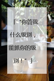 “你管我什么级别，能抓你的级别！”