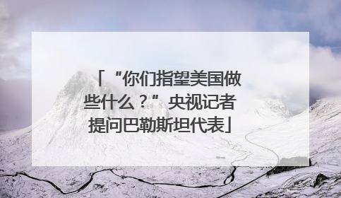 “你们指望美国做些什么？”央视记者提问巴勒斯坦代表