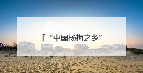 “中国杨梅之乡”湖南靖州传统与新引品种共绽“梅”好