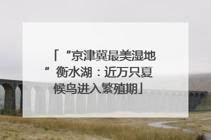 “京津冀最美湿地”衡水湖：近万只夏候鸟进入繁殖期
