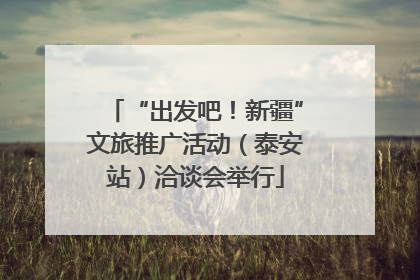 “出发吧！新疆”文旅推广活动（泰安站）洽谈会举行