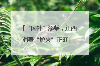 “国补”添柴，江西消费“炉火”正旺