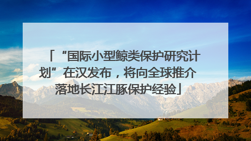“国际小型鲸类保护研究计划”在汉发布，将向全球推介落地长江江豚保护经验