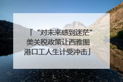 “对未来感到迷茫” 美关税政策让西雅图港口工人生计受冲击