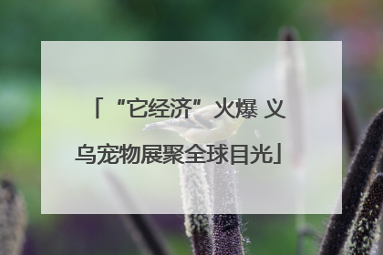 “它经济”火爆 义乌宠物展聚全球目光