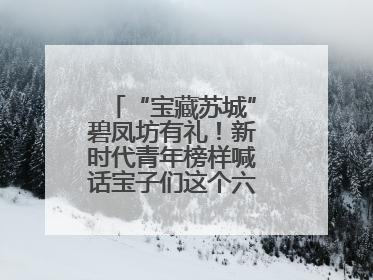 “宝藏苏城”碧凤坊有礼！新时代青年榜样喊话宝子们这个六一来平江街道