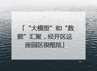 “大模型”和“数据”汇聚，经开区这座园区很酷炫
