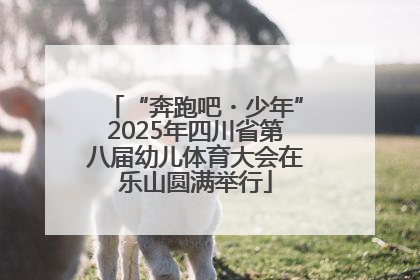 “奔跑吧・少年”2025年四川省第八届幼儿体育大会在乐山圆满举行