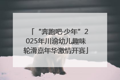 “奔跑吧·少年”2025年川渝幼儿趣味轮滑嘉年华激情开赛