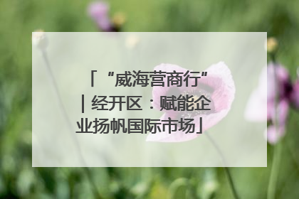 “威海营商行”｜经开区：赋能企业扬帆国际市场