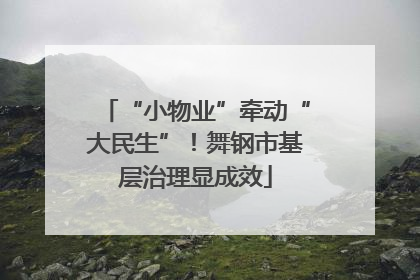 “小物业”牵动“大民生”！舞钢市基层治理显成效