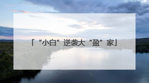 “小白”逆袭大“盈”家