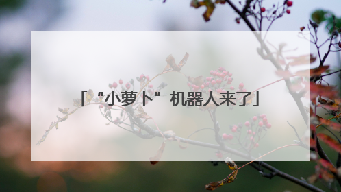 “小萝卜”机器人来了