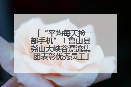 “平均每天捡一部手机”！鲁山县尧山大峡谷漂流集团表彰优秀员工