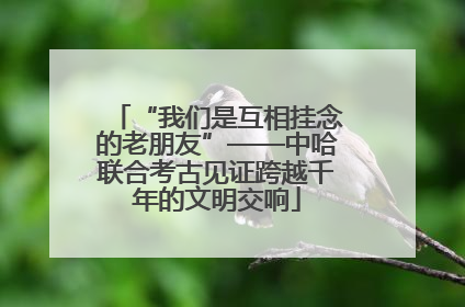“我们是互相挂念的老朋友”——中哈联合考古见证跨越千年的文明交响