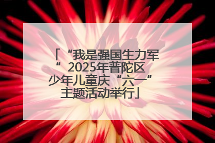 “我是强国生力军”2025年普陀区少年儿童庆“六一”主题活动举行