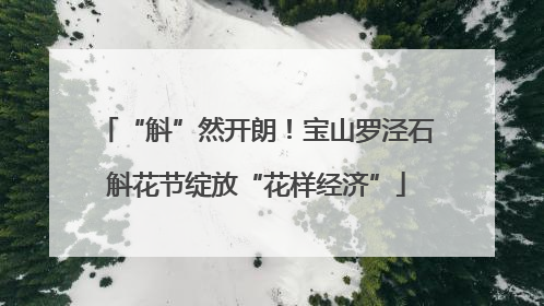 “斛”然开朗！宝山罗泾石斛花节绽放“花样经济”