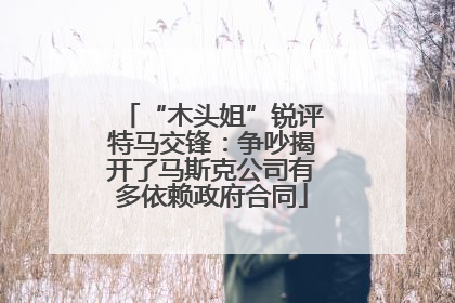 “木头姐”锐评特马交锋：争吵揭开了马斯克公司有多依赖政府合同
