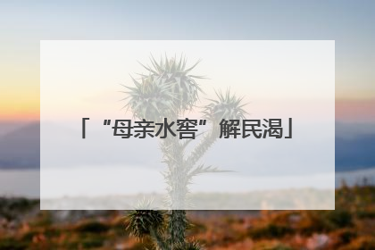 “母亲水窖”解民渴