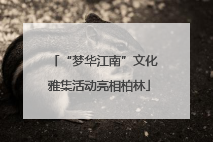 “梦华江南”文化雅集活动亮相柏林