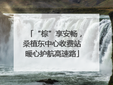 “棕”享安畅，桑植东中心收费站暖心护航高速路