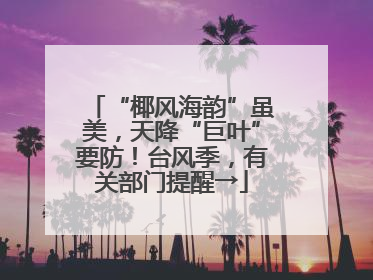 “椰风海韵”虽美，天降“巨叶”要防！台风季，有关部门提醒→