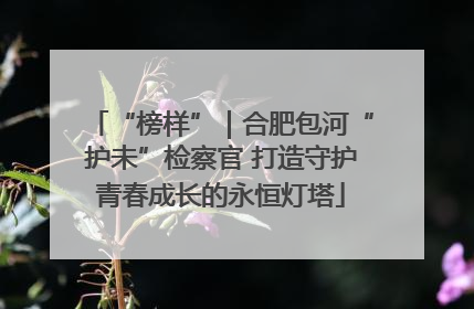 “榜样”｜合肥包河“护未”检察官 打造守护青春成长的永恒灯塔