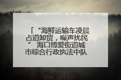 “海鲜运输车凌晨占道卸货，噪声扰民” 海口博爱街道城市综合行政执法中队：将联合交警加强长堤路一带巡逻