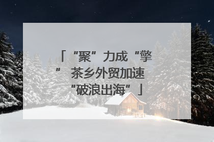 “聚”力成“擎” 茶乡外贸加速“破浪出海”