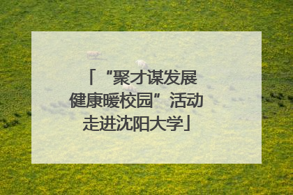 “聚才谋发展 健康暖校园”活动走进沈阳大学