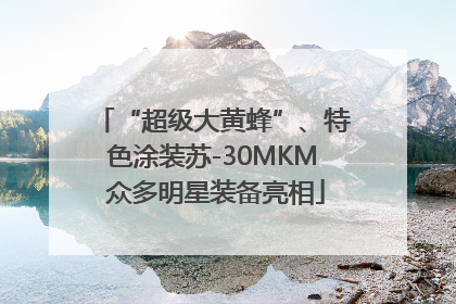 “超级大黄蜂”、特色涂装苏-30MKM 众多明星装备亮相