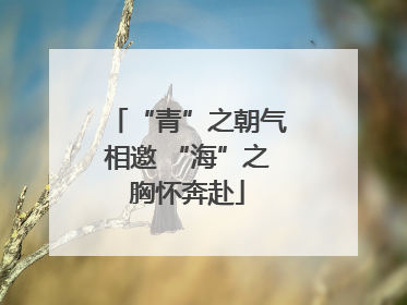 “青”之朝气相邀 “海”之胸怀奔赴