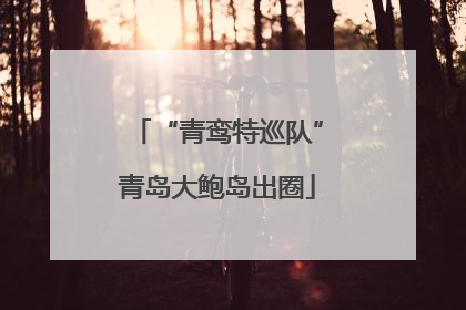 “青鸾特巡队”青岛大鲍岛出圈