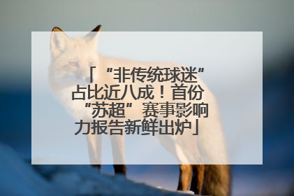“非传统球迷”占比近八成！首份“苏超”赛事影响力报告新鲜出炉