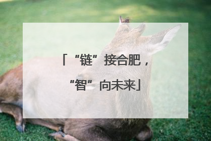 “链”接合肥，“智”向未来