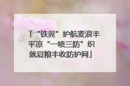 “铁翼”护航麦浪丰 平凉“一喷三防”织就夏粮丰收防护网