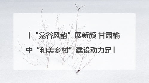 “龛谷风韵”展新颜 甘肃榆中“和美乡村”建设动力足