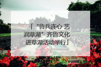 “鲁兵连心 艺润草湖”齐鲁文化进草湖活动举行